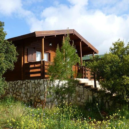 Mountain Breeze Lodge & Resort Al Salt Luaran gambar